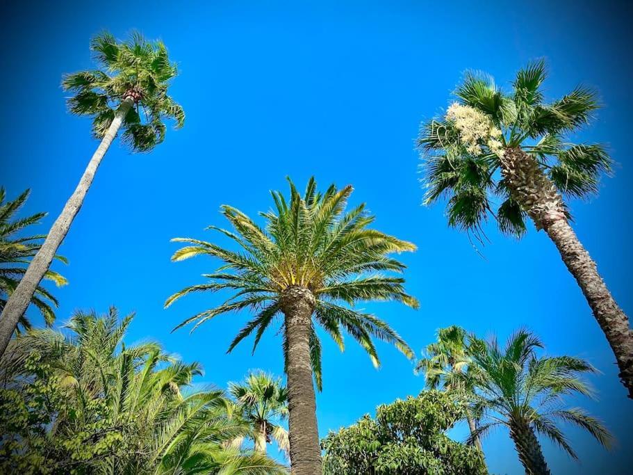 Port-Frejus, Le Paladien, Appartement 2 Pieces Climatise, Terrasse & Parking Екстериор снимка